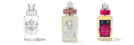 Nez à nez avec Olivier Cresp