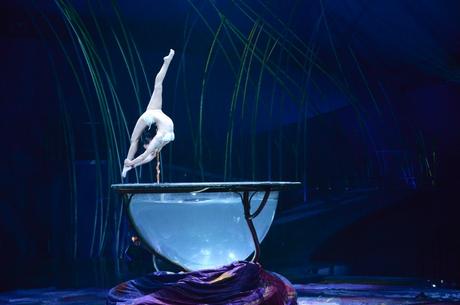 Water Bowl - © Photo : Laurence Labat - Cosume : Mérédith Caron / Cirque du Soleil