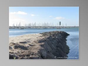 waterfront Geelong