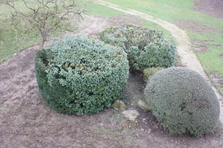 7 sangliers avon 6 mars 2016 004.jpg