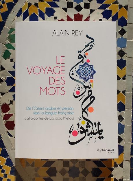 LE VOYAGE DES MOTS - ALAIN REY & LASSAAD METOUI