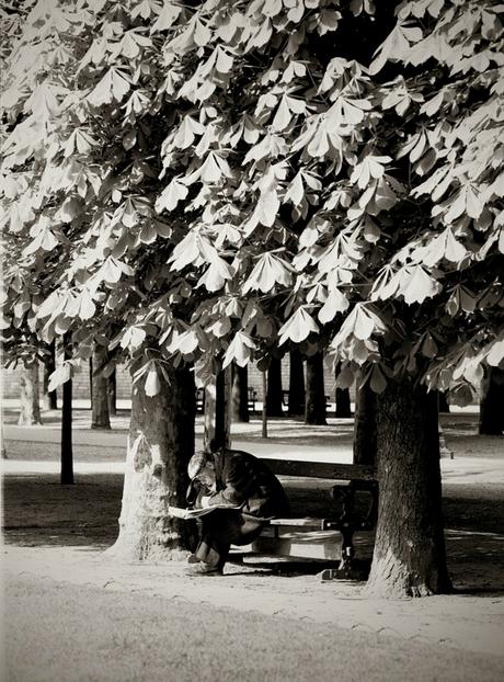 homme-sous-marronnier