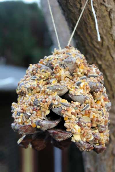 Comment faire des boules de graisse pour oiseaux ?