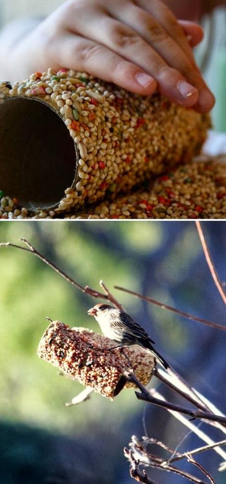 Comment faire des boules de graisse pour oiseaux ?