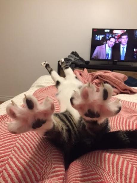 Super terrain de jeux