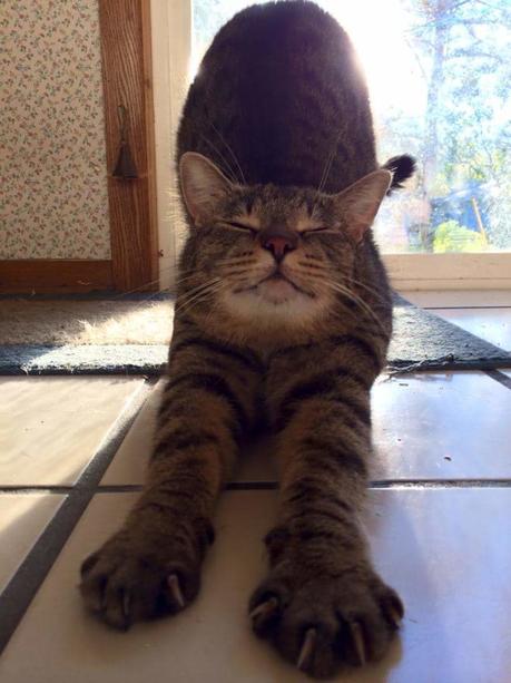 Super terrain de jeux