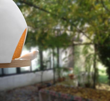 Si je vous proposais un peu de « Compagnie » La Lampe Oiseau d' Olivier Chabaud et Jean-François Bellemère