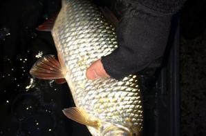 Pęche hivernale au toc