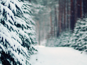 C'est lundi lisez-vous