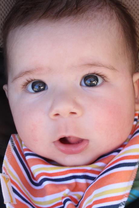 { Test } Bandana Mini Polaire – Concours Inside