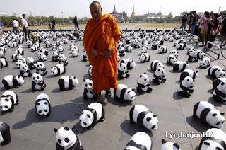 Bangkok et ses 1600 Pandas: silence on expose