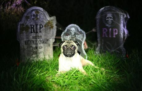 Facebook: En 2098 il y aura plus de morts que de vivants