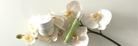 On mise sur le bambou ! (concours)