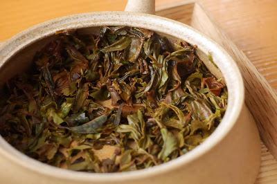 Thé noir de Kawane, cultivar Kôshun