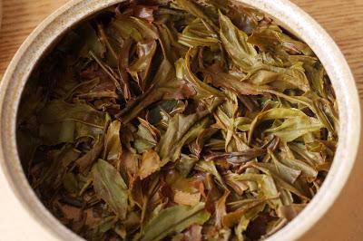 Thé noir de Kawane, cultivar Kôshun