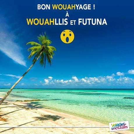 12509209_1008300542549453_119586430176845769_n