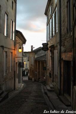 Saint émilion- les lubies de louise-16