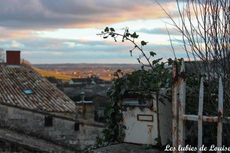 Saint émilion- les lubies de louise-13