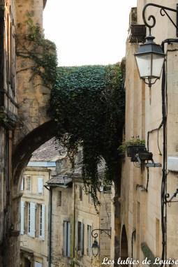 Saint émilion- les lubies de louise-4