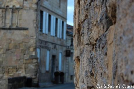 Saint émilion- les lubies de louise-8