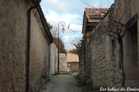 Saint émilion- les lubies de louise-9
