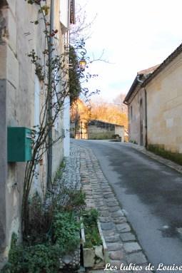 Saint émilion- les lubies de louise-11