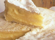 camembert Normandie, fromage typique terroirs