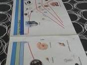 Histoire vivante (vie Terre, hominidés Moyen-Âge), Grande leçon Montessori