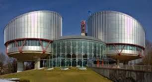 Enlèvement international d'enfant: les erreurs des juges polonais ont eu pour conséquence la violation de l'article 8 de la Convention EDH