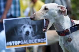 Lettres de Brigitte Bardot dans le journal El Païs et au Chef du gouvernement Espagnol.