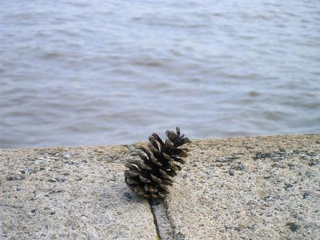 tableau de bord de père