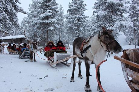Envie #174 : Une excursion en traineau tiré par un renne en Laponie excursion rennes laponie rovaniemi
