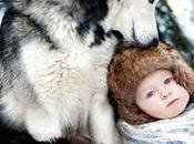 magnifiques photos prouvent bébés chiens sont meilleurs amis