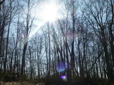 Du côté de la lumière