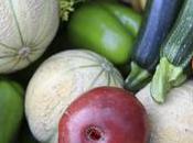 Agriculture logiciels pour «circuits courts»