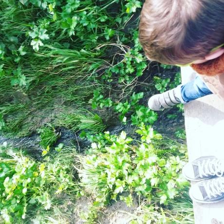 Instants 137 le bon petit quotidien