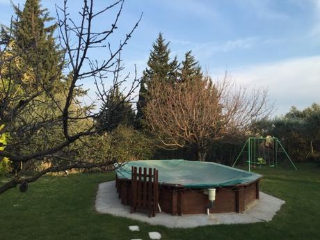 Dans mon jardin d'hiver