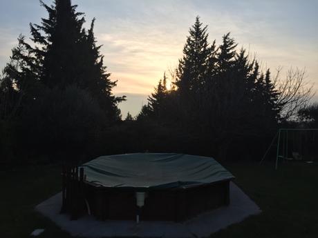 Dans mon jardin d'hiver