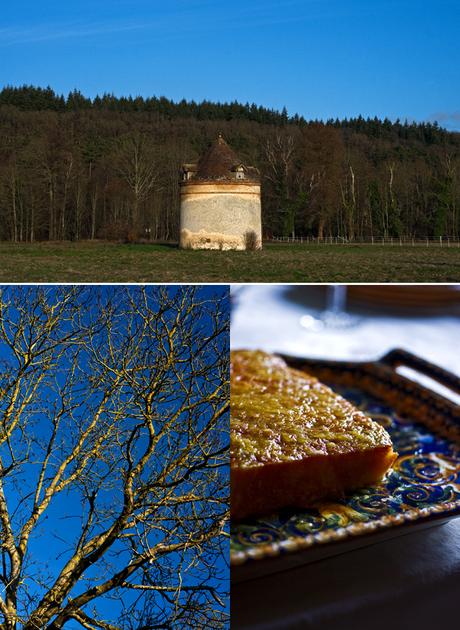 (Les) orange(s) de Noël