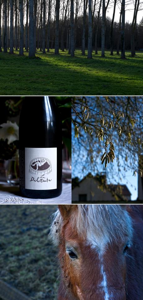 (Les) orange(s) de Noël