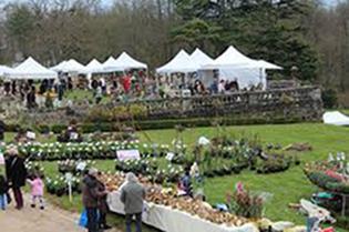 Découvrez la Fête des Plantes et des Poules* au Château de la Bourdaisière ! imgres-2