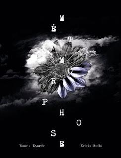 Tag Le liebster Award #2