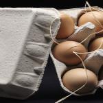 PÂQUES : Patrick Roger met la poule à l’honneur !