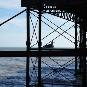 brighton pier seafront
