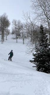 Hivers plus chauds, neige en baisse