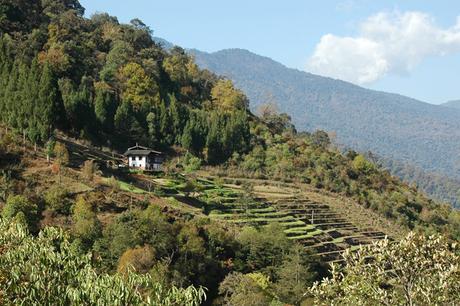 Dang Chhu Valley, Bhutan. 2011