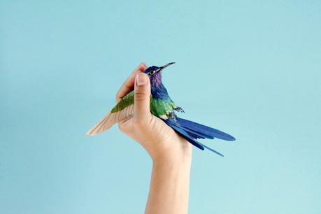Les oiseaux en papier de Dianna Beltran Herrera