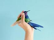 Discoveries No.21 Diana Beltran Herrera