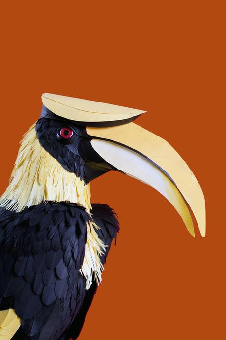 Discoveries No.21 Diana Beltran Herrera Les oiseaux en papier de Diana Beltran Herrera