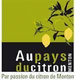 Moelleux au citrons de Menthon au thermomix ou sans Moelleux au citrons de Menthon au thermomix ou sans